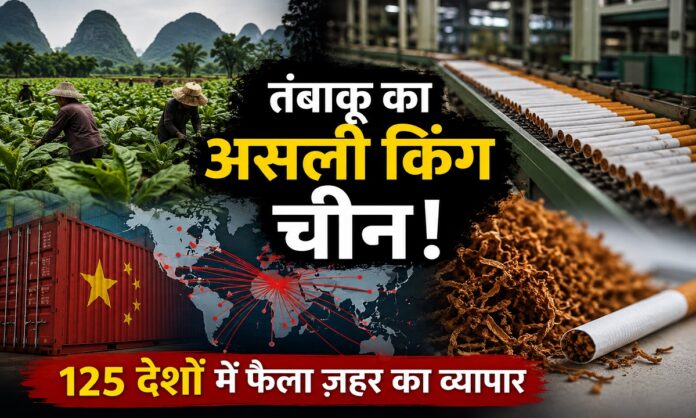 चीन का विशाल तम्बाकू उत्पादन और वैश्विक निर्यात नेटवर्क